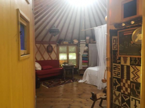  The Yurt in Abirim  Abirim